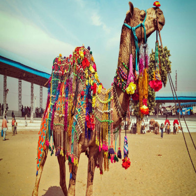 Mewar Festival Places to See